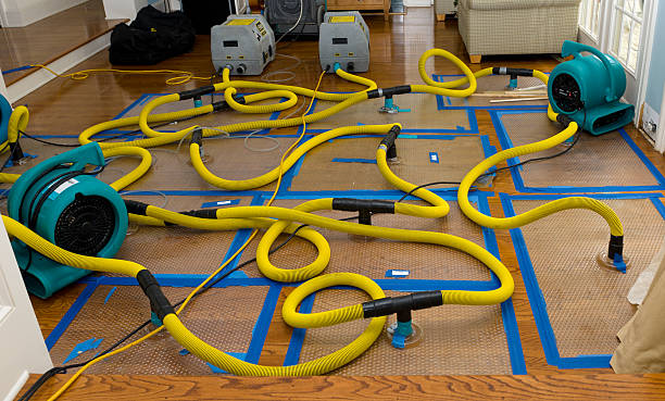 Professional Water Damage Repair technician working in Chauncey, WV