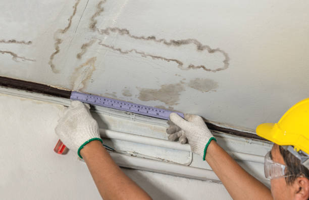 Affordable Water Damage Repair solutions in Chauncey, WV